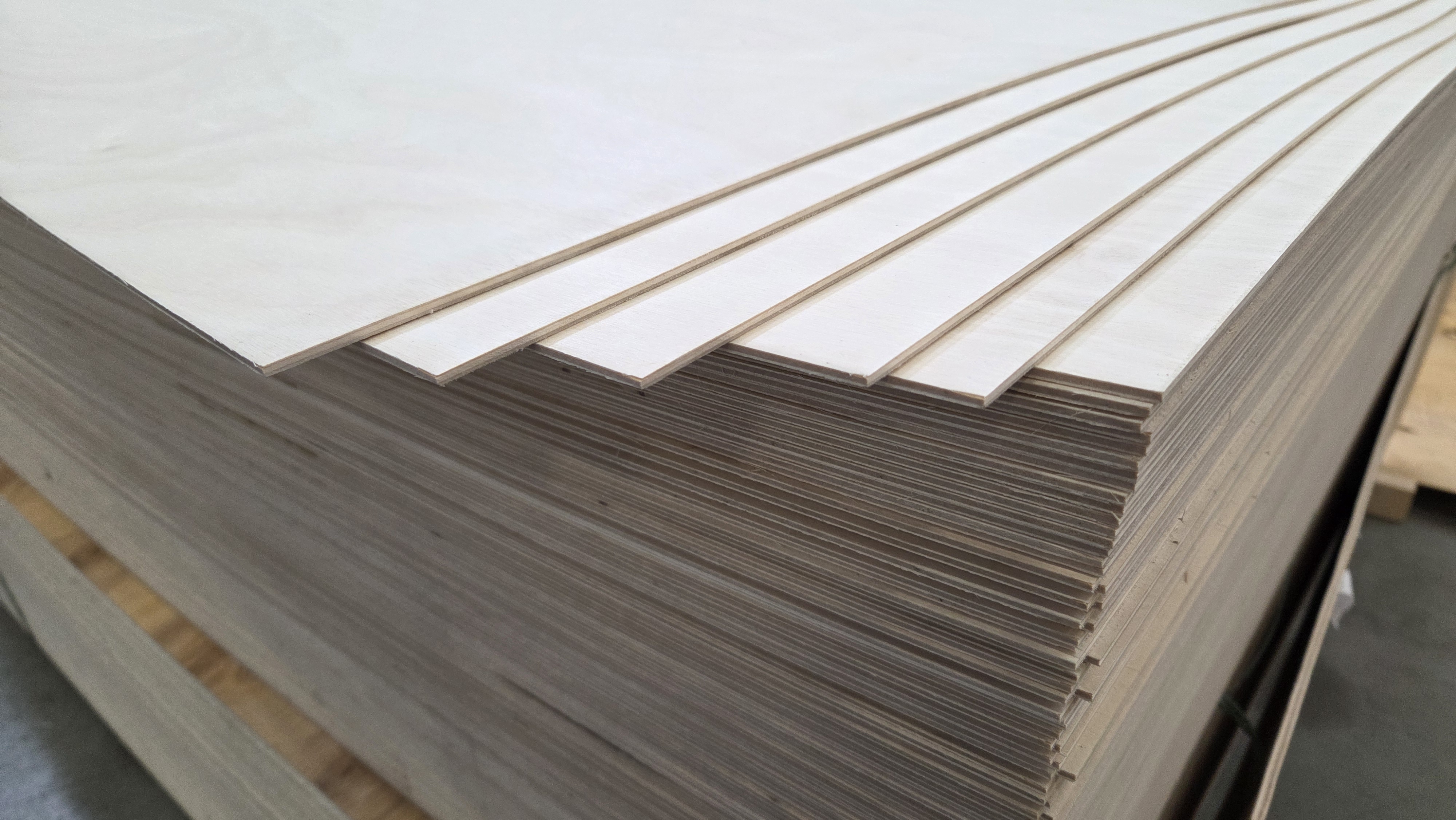 Birch laser plywood — ureic resin, void-free core