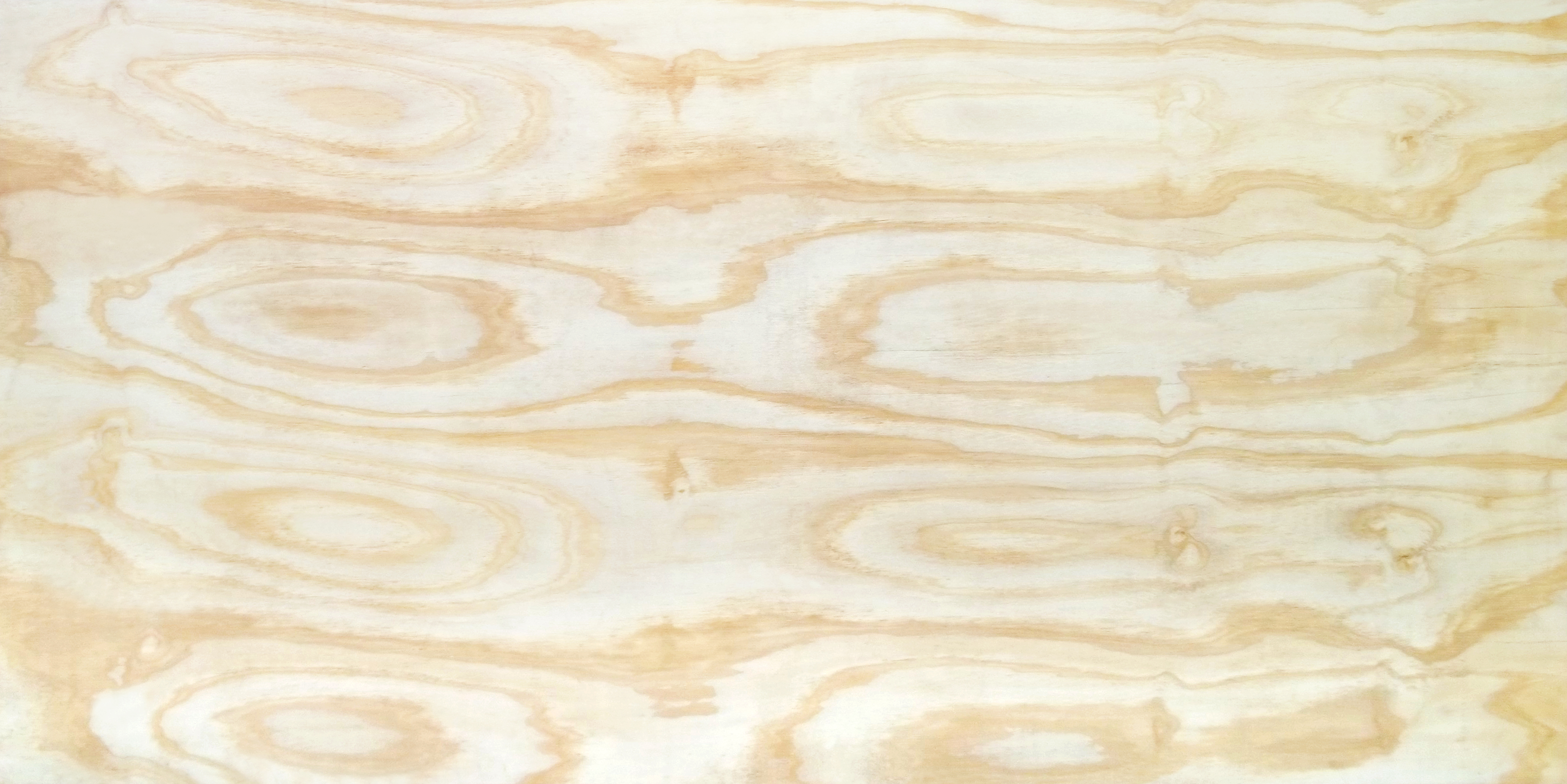 Pine Eucalyptus plywood — structural and packaging